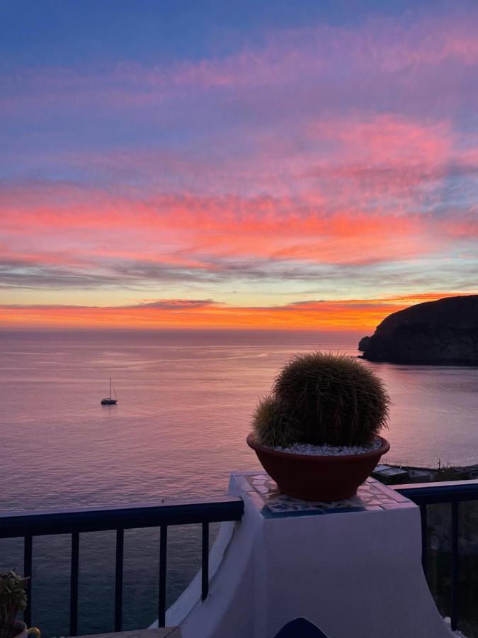 Hotel Villa Maria Sant'Angelo  ภายนอก รูปภาพ
