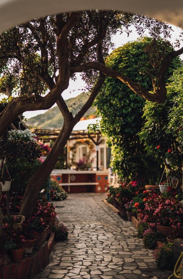 Hotel Villa Maria Sant'Angelo  ภายนอก รูปภาพ