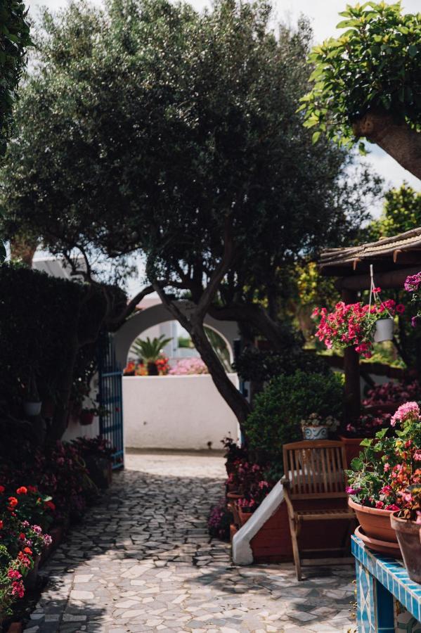 Hotel Villa Maria Sant'Angelo  ภายนอก รูปภาพ