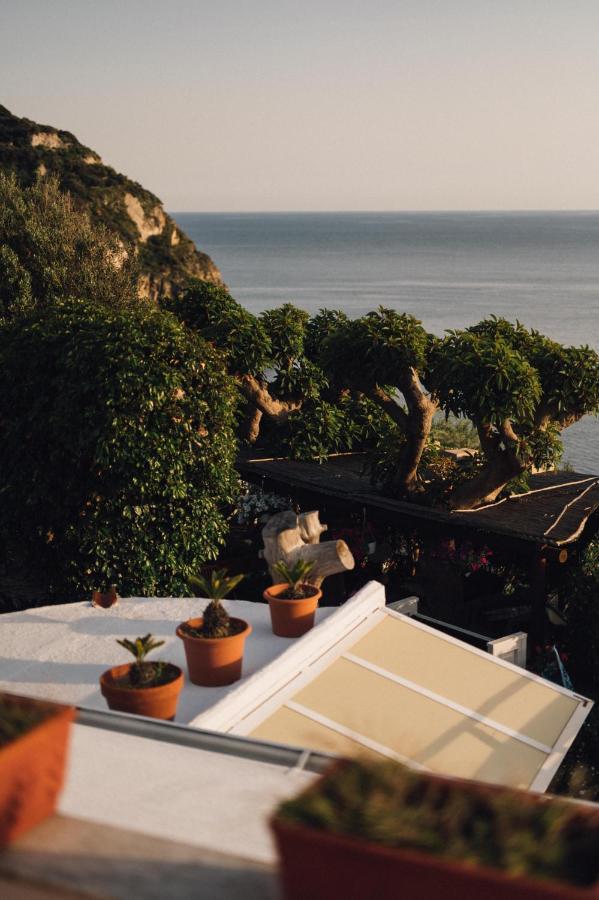 Hotel Villa Maria Sant'Angelo  ภายนอก รูปภาพ